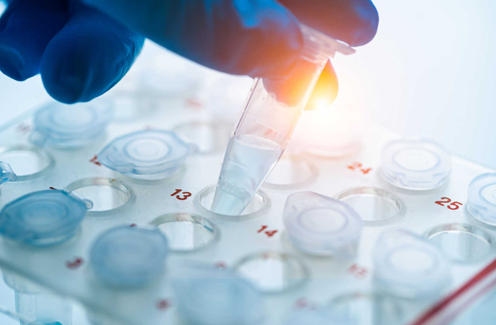 A gloved hand arranging microcentrifuge tubes on a rack.