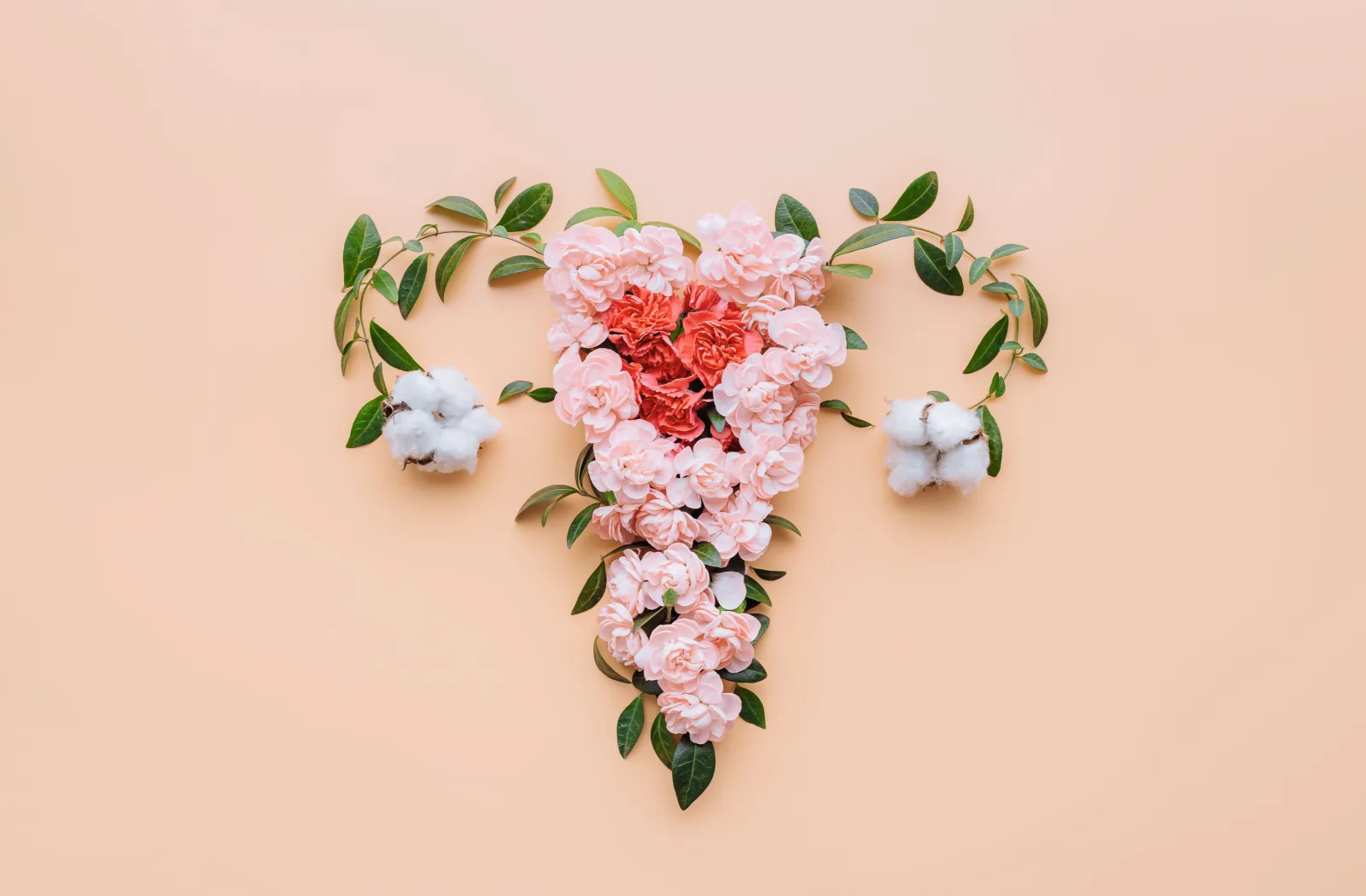 Artistic representation of a uterus, reflecting feminine health.